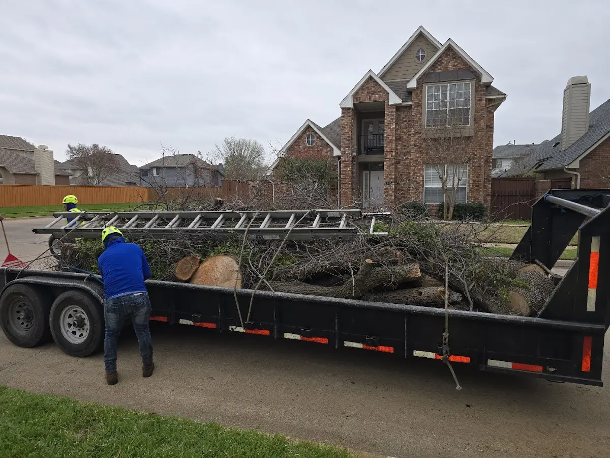 Expert Tree Removal with proper safety equipment in Vanderbilt